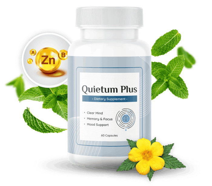 quietum Plus supplement